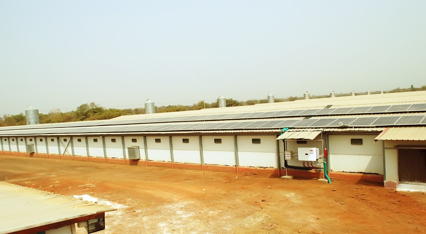 Rensource Energy and Green Fuels Partner to Build a 4.7MWp Solar PV Gas Hybrid System for Valentine Chickens